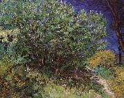 Bushes